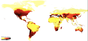Bee populations – global status!