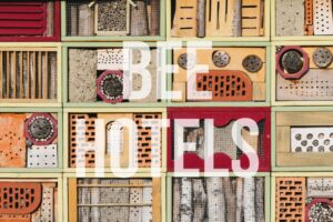 Bee Hotels