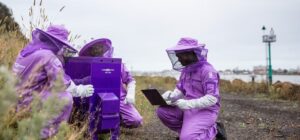 Battling the Varroa Mite: Next-Gen Detection and Treatment Systems for Beekeepers