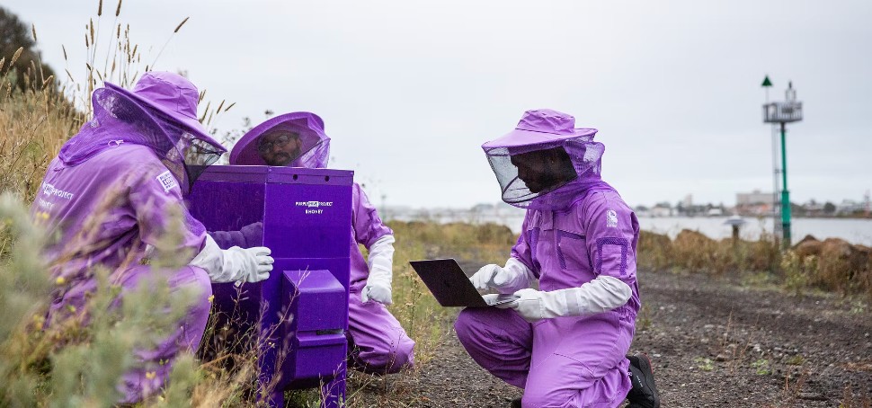 Vimana Tech Smart Hives