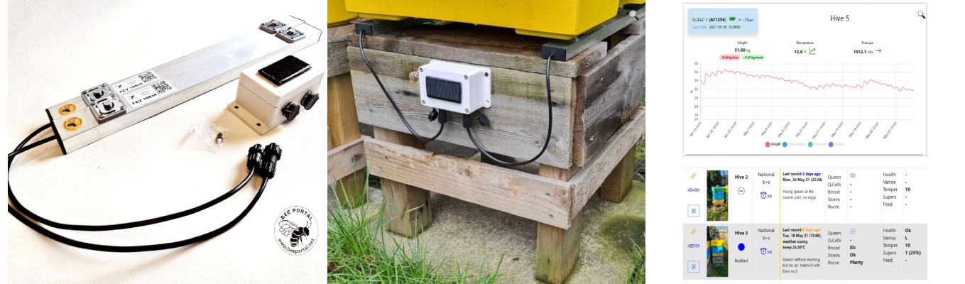 Smart Hive Monitoring- A Beekeeper’s Reality Check (2025 Review)