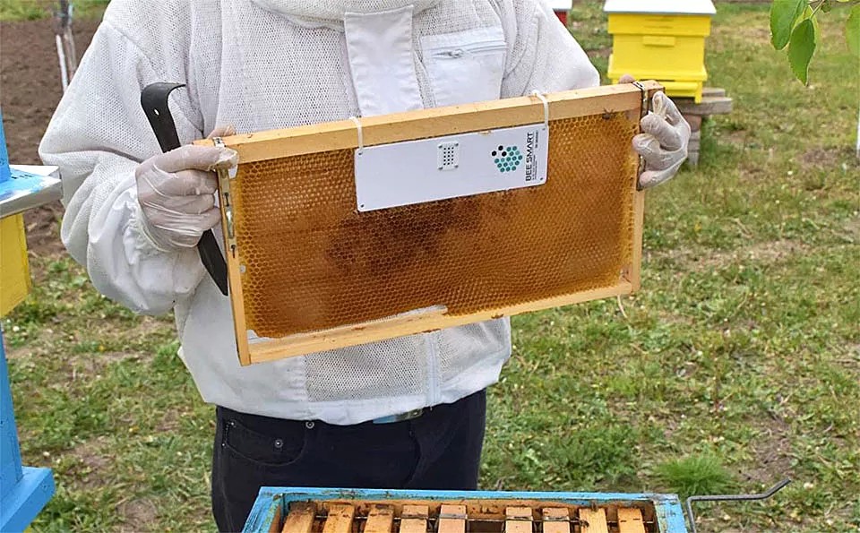 bee hive monitoring